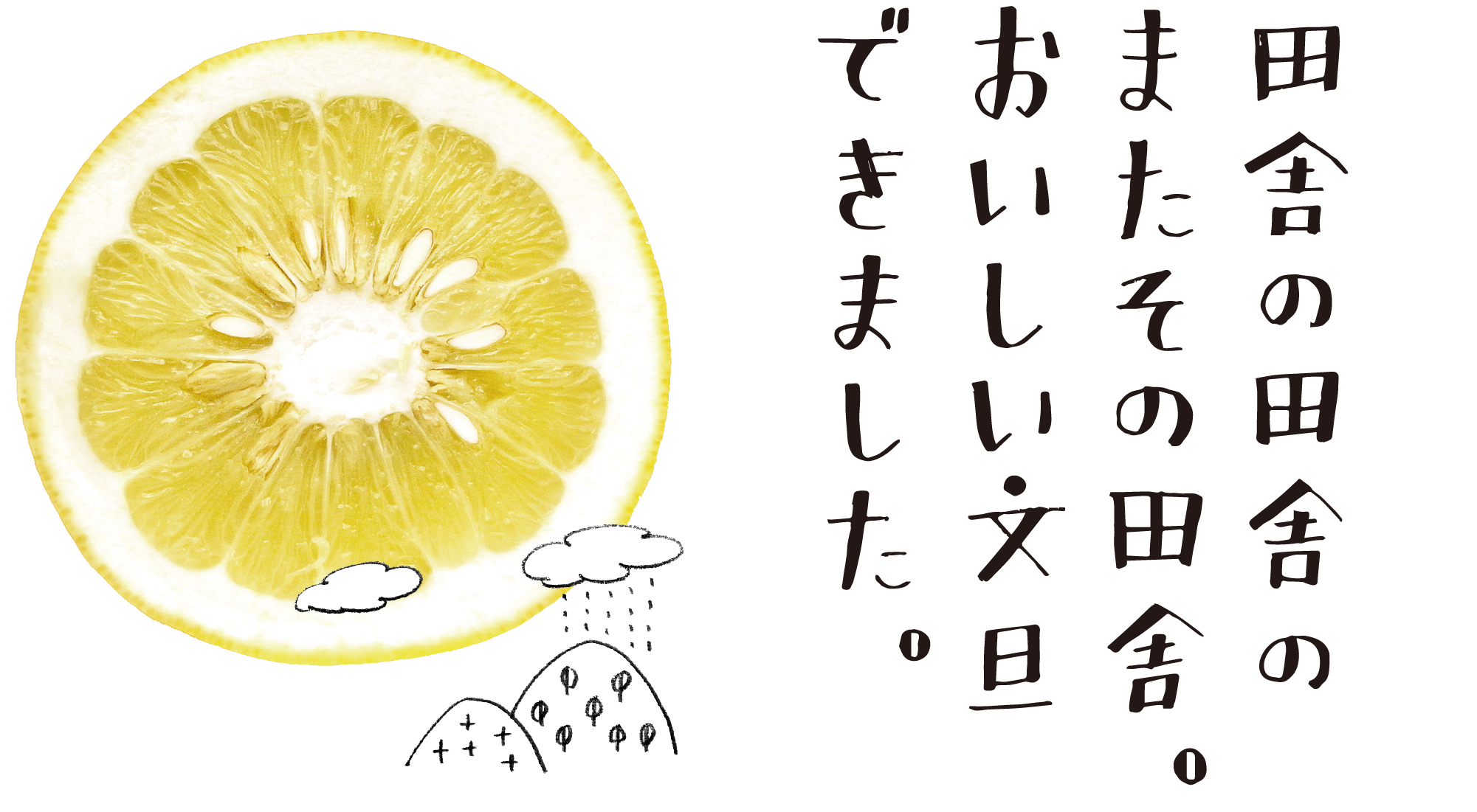 岡林農園の文旦ものがたり