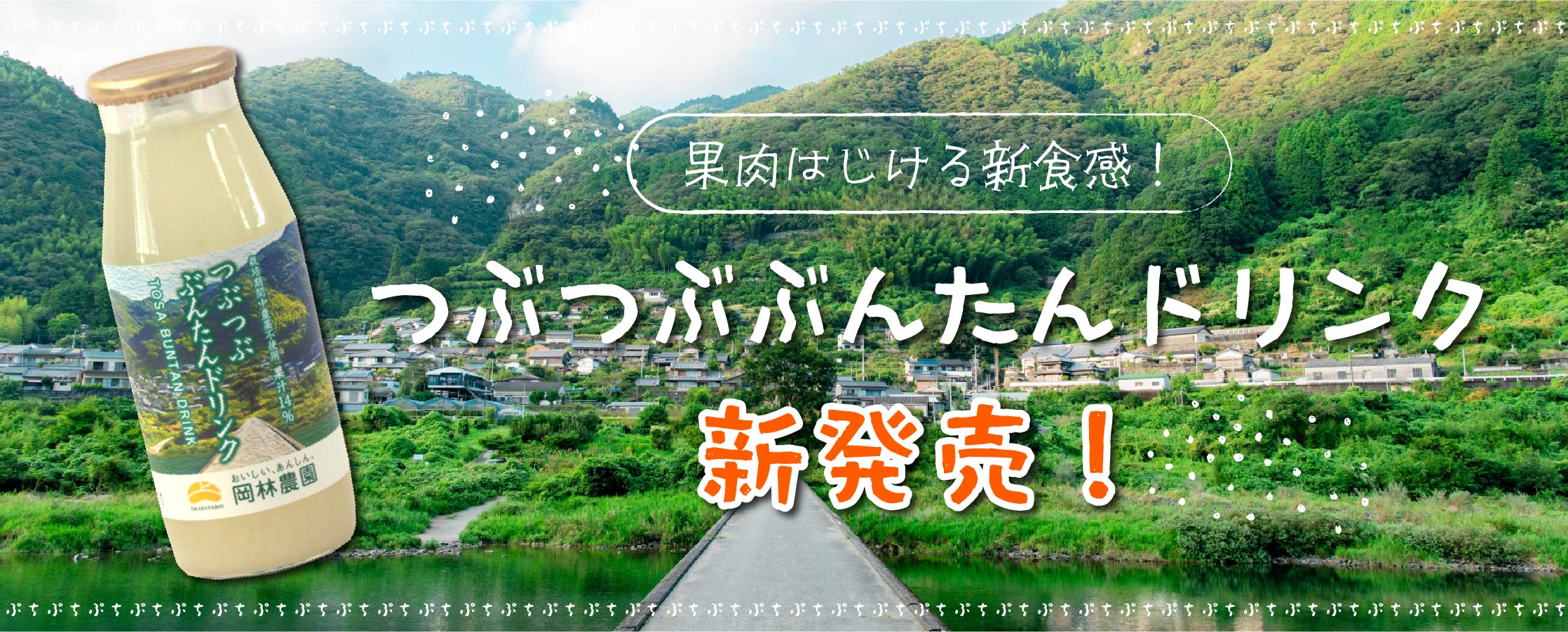  つぶつぶぶんたんドリンク
